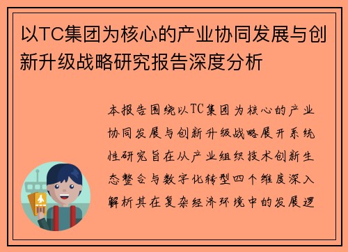 以TC集团为核心的产业协同发展与创新升级战略研究报告深度分析